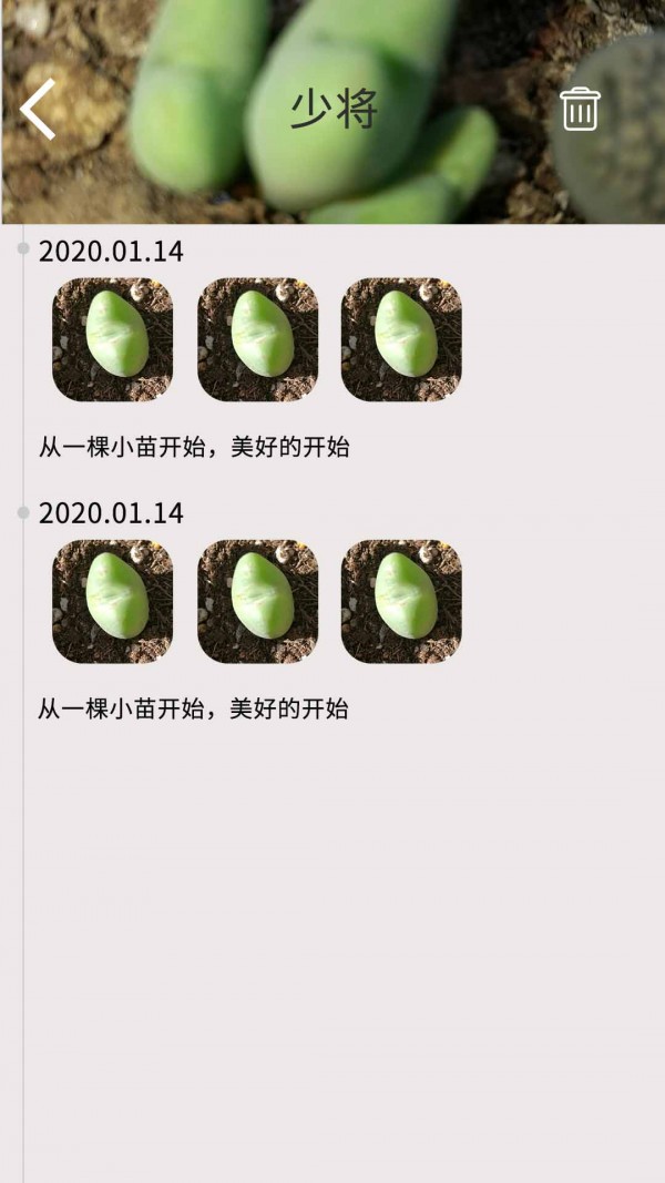 多肉花草日記4