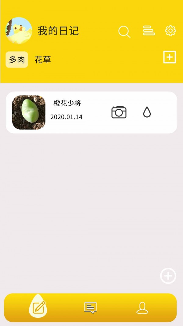 多肉花草日記5