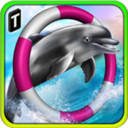 海豚比賽3Dapp