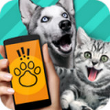 動物語言翻譯器app