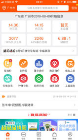 豬易通app3