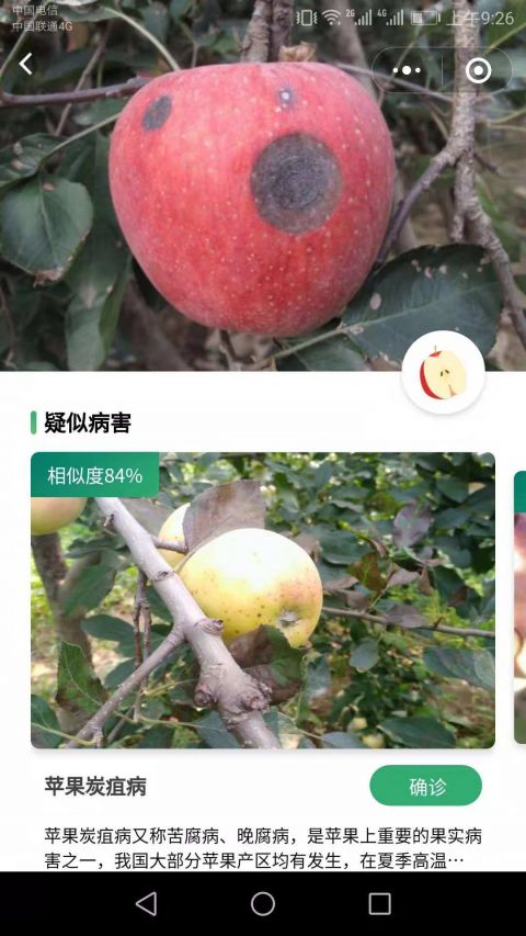 口袋農庫app1