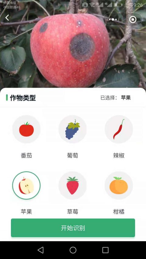 口袋農庫app2
