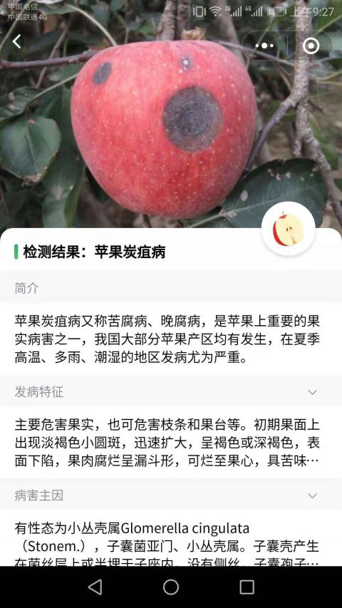 口袋農庫app3