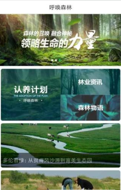 呼喚森林app3