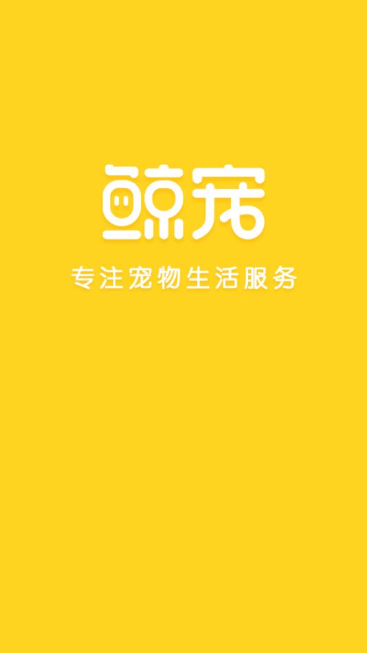 鯨寵1