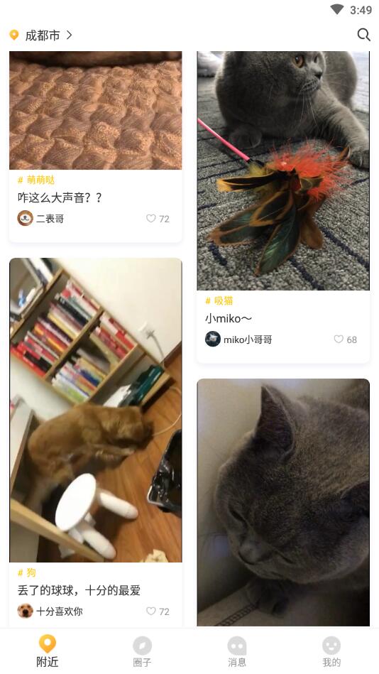 鯨寵4