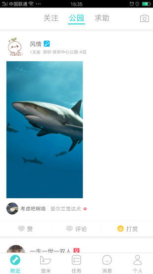 寵米1