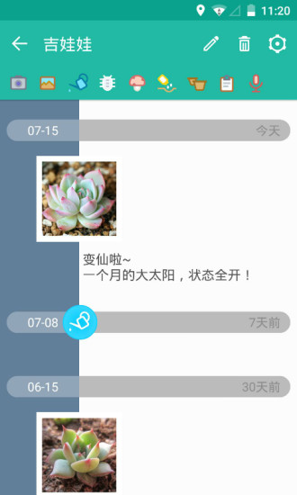 多肉成長(zhǎng)記1