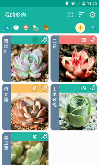 多肉成長(zhǎng)記3