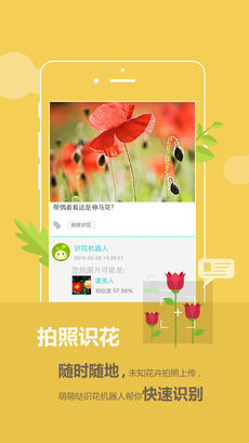 花滿城1