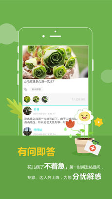 花滿城2
