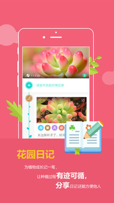 花滿城4