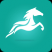 流馬風(fēng)行