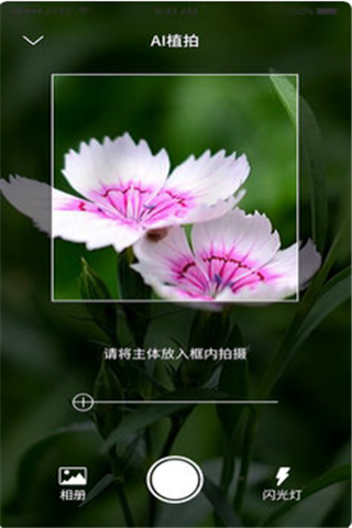 愛植拍4