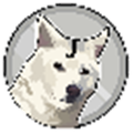 Jindoge幣