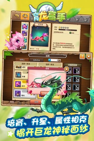 育龍高手3