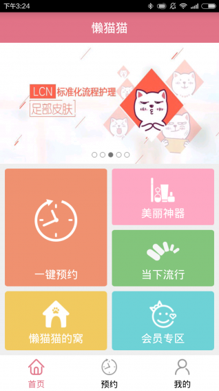 懶貓貓1