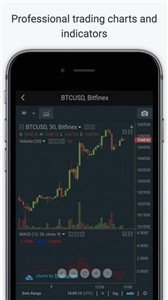 bitfinex交易所1