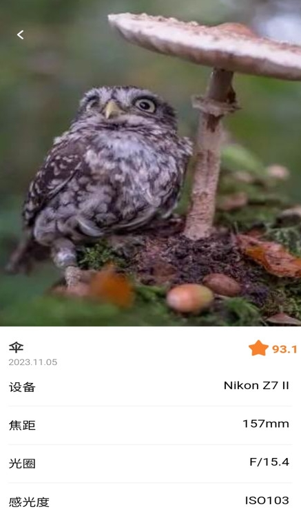 潮流秀3
