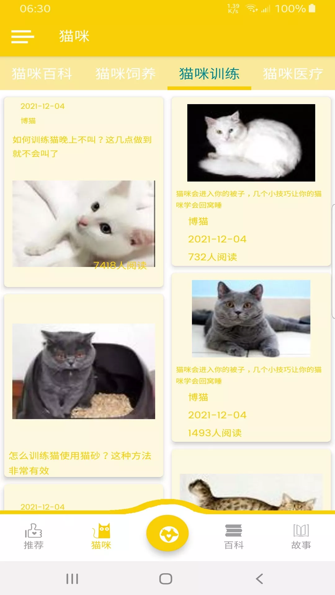 博貓2