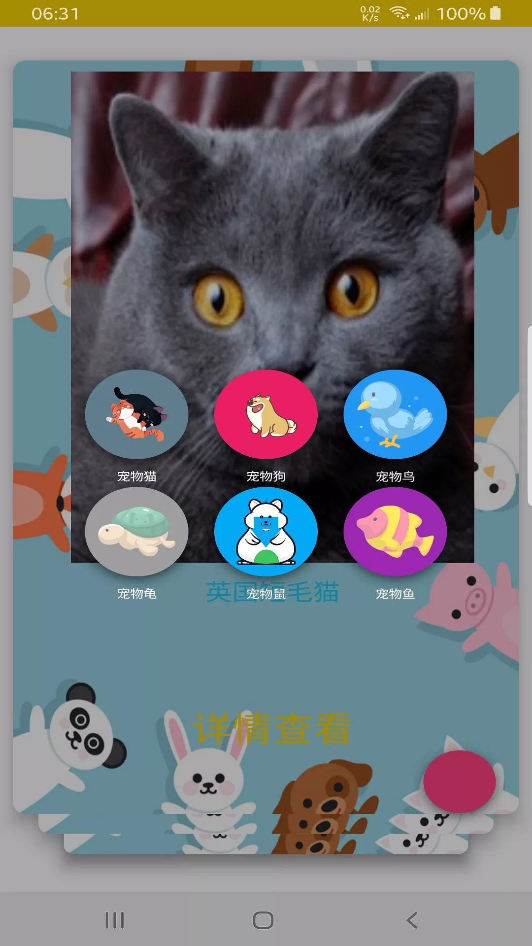 博貓3