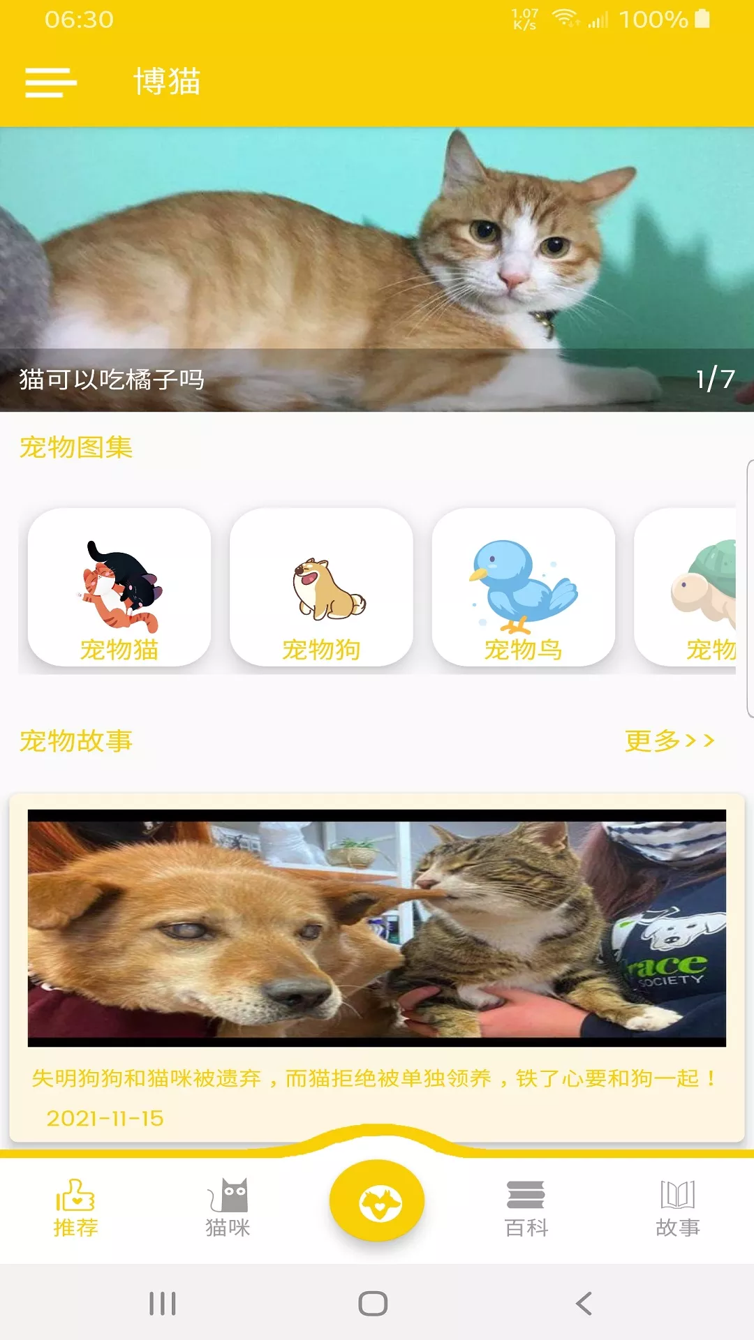 博貓4