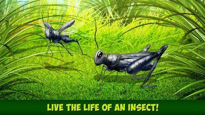 印度蝗蟲模擬器漢化版1