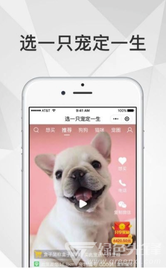 奶寵寵物短視頻(可愛寵物有趣視頻)V1.0.1 安卓正式版2