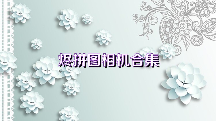 燼拼圖相機(jī)合集