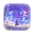 口袋妖怪強(qiáng)雷崛起手游13