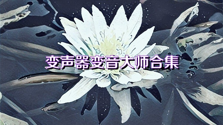 變聲器變音大師合集