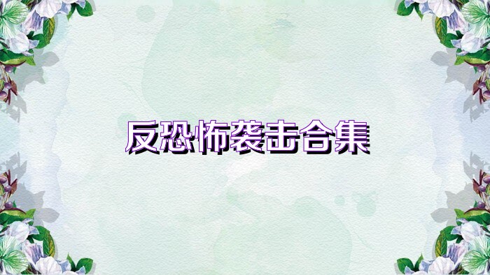 反恐怖襲擊合集