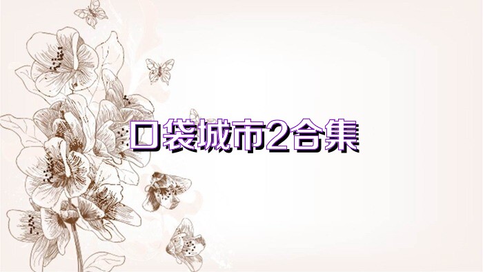 口袋城市2合集