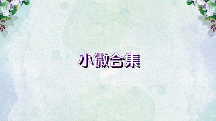 小微合集