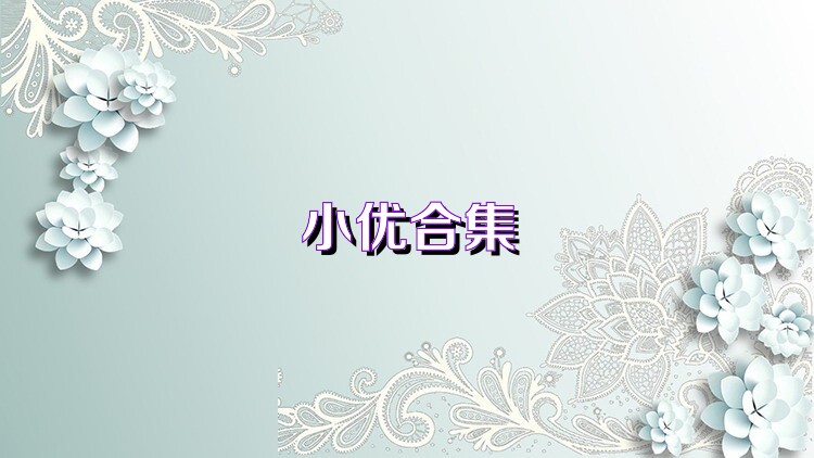小優(yōu)合集