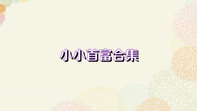 小小首富合集