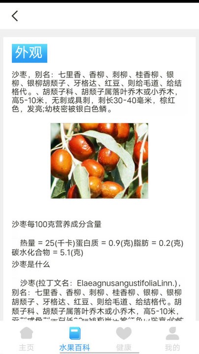 口袋水果知識科普3