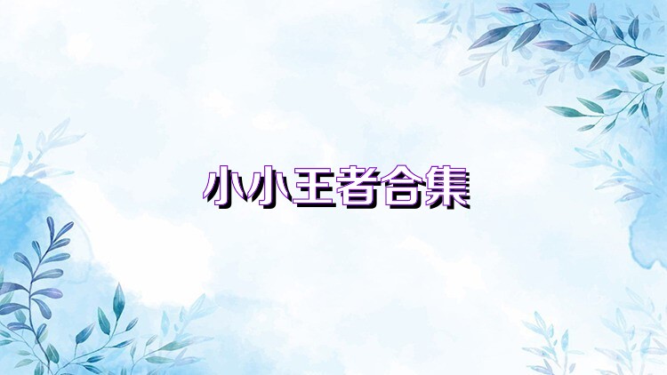 小小王者合集