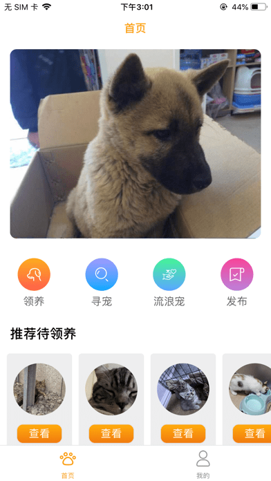 寵愛社安卓1