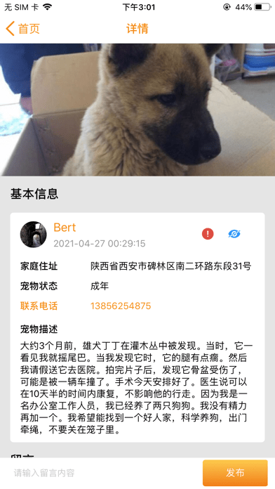 寵愛社安卓2