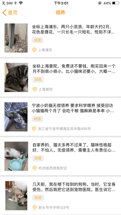 寵愛社安卓3
