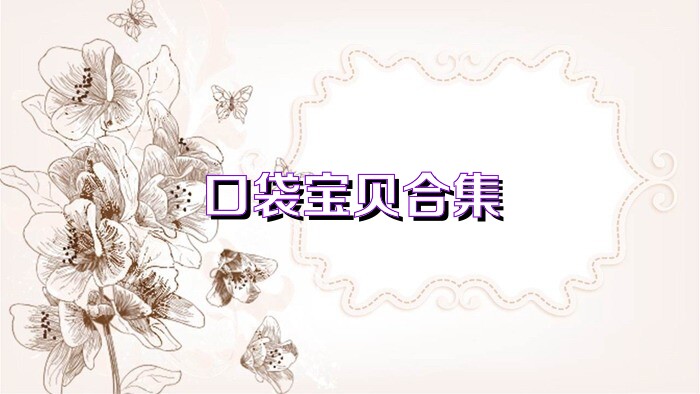 口袋寶貝合集