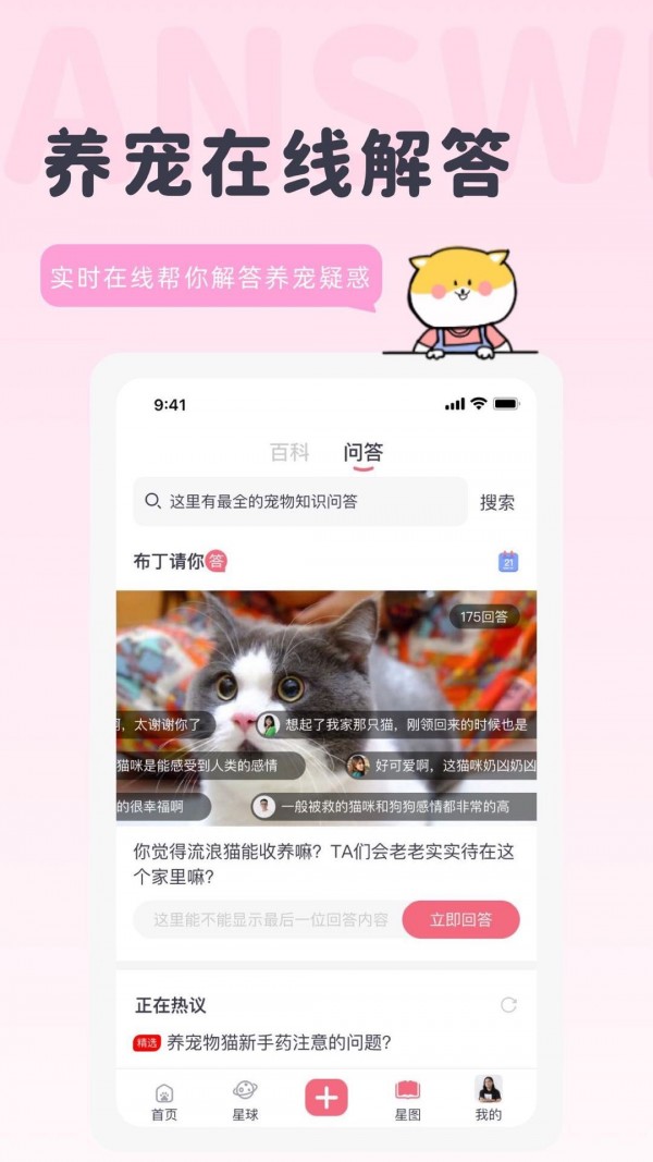 寵布丁2