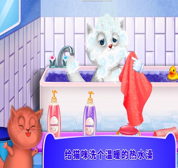照顧小貓咪2