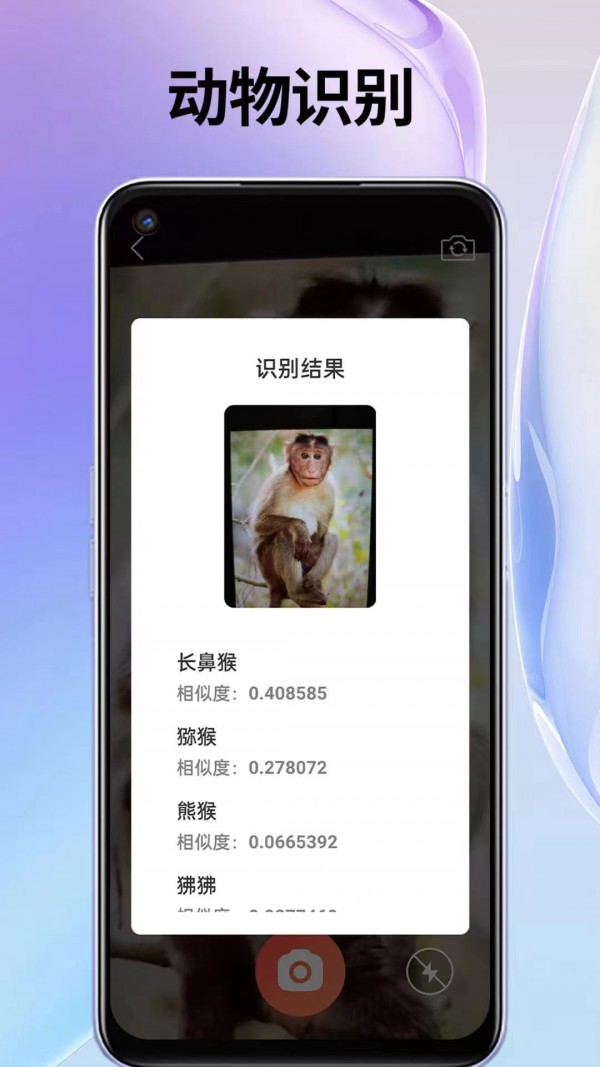 叮叮袋4