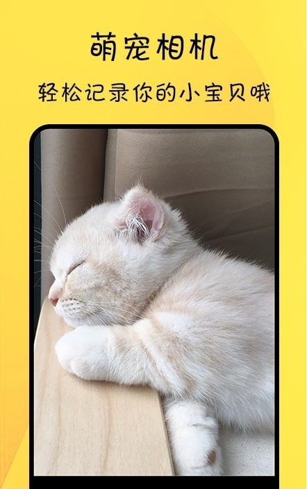 寵物記錄4