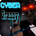 Granny Cyber