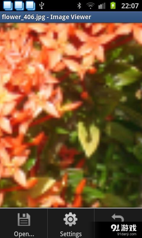 Image Viewer1