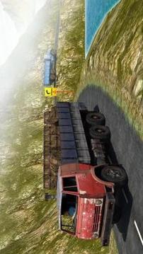 Heavy Truck Driver Cargo1